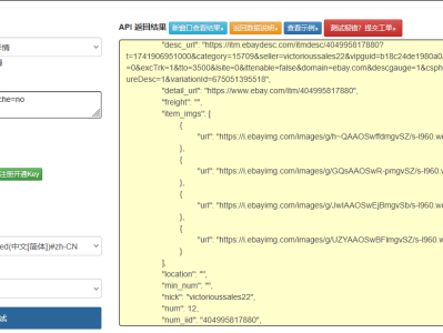 eBay 商品详情 API 深度解析：从基础信息到变体数据获取全方案